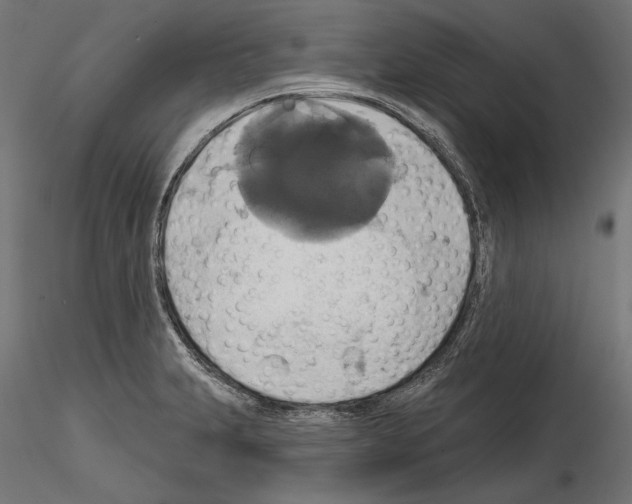 X0000115171231200912091015