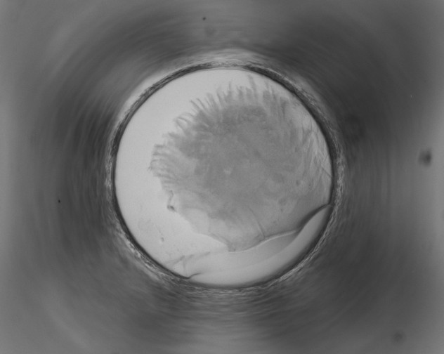 X0000115171232200912091015