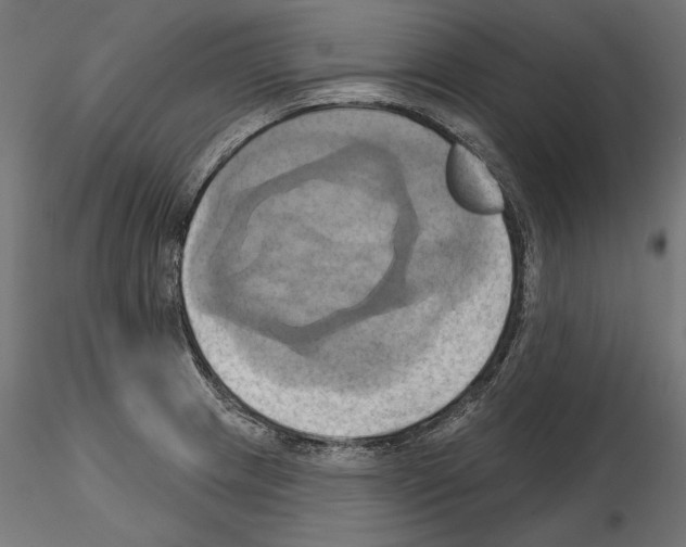 X0000115171233200912091015