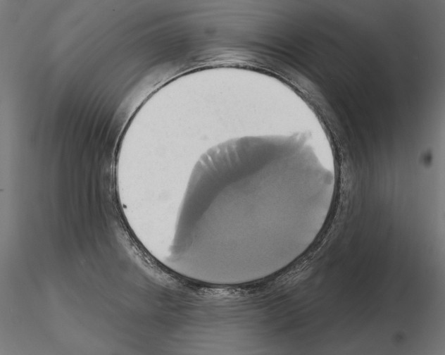 X0000115171234200912091015