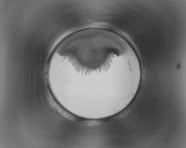 X0000115171235200912091015