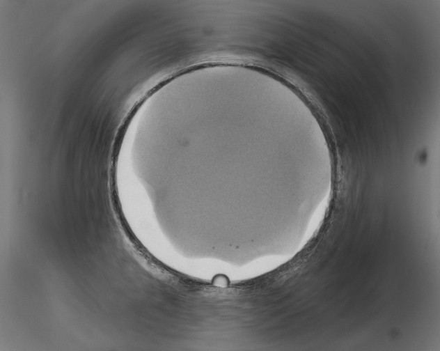 X0000115171237200912091016