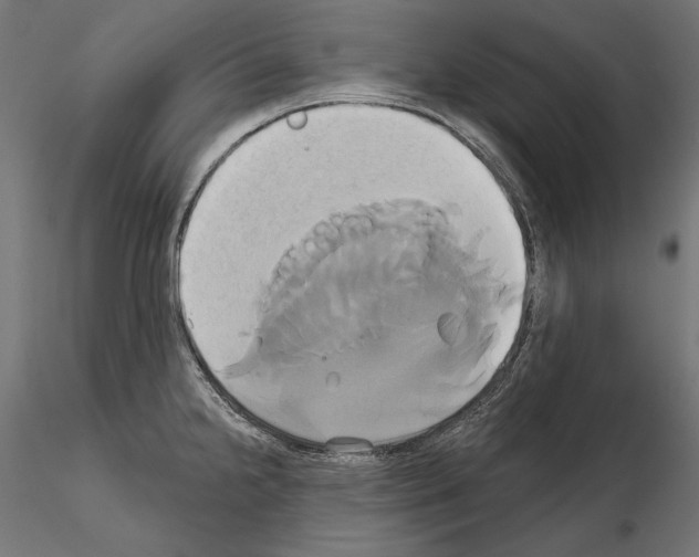 X0000115171238200912091016