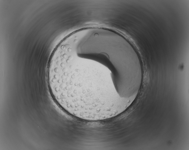 X0000115171239200912091016