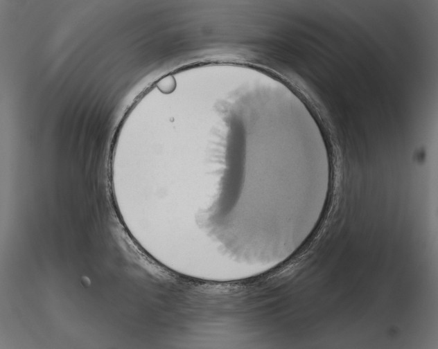 X0000115171240200912091016