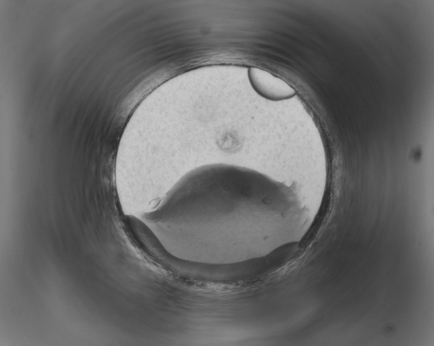 X0000115171241200912091016