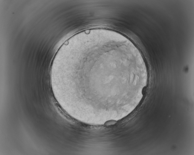 X0000115171242200912091016