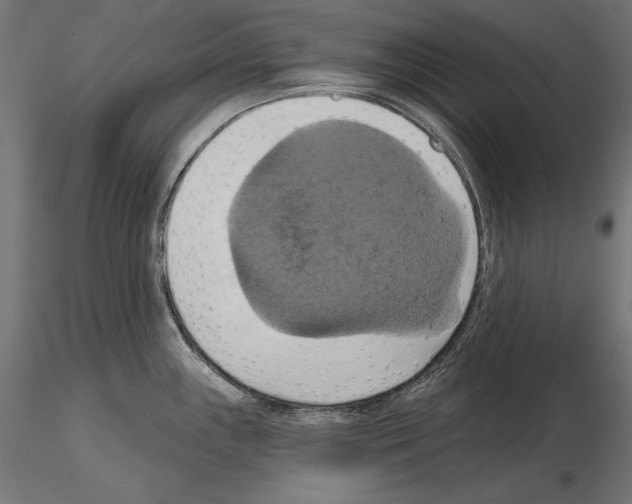 X0000115171243200912091016