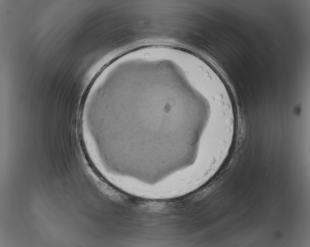 X0000115171245200912091016