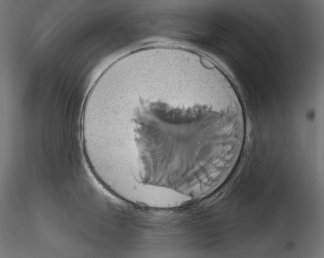 X0000115171247200912091016