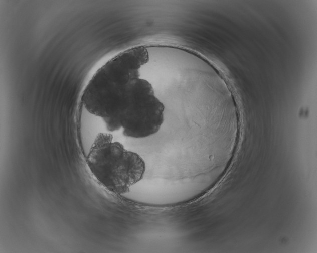 X0000115171248200912091016