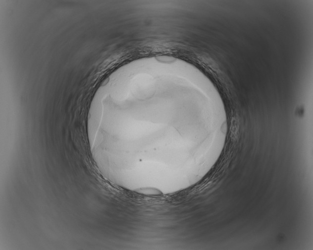 X0000115171249200912091015