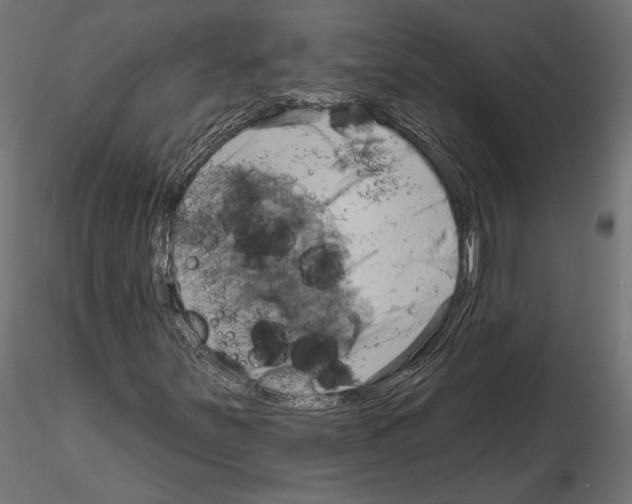 X0000115171251200912091015