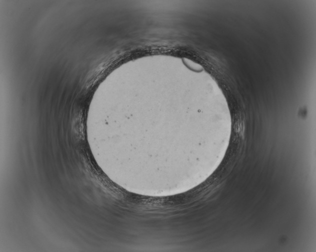 X0000115171252200912091015