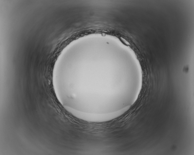 X0000115171253200912091015