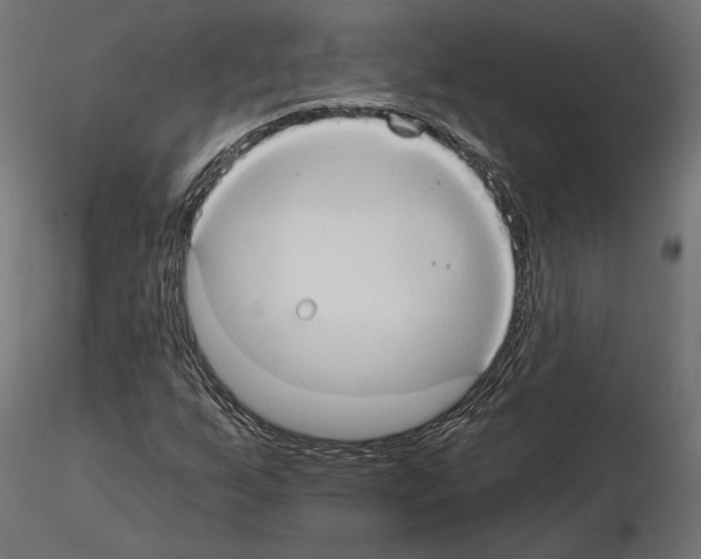 X0000115171255200912091015