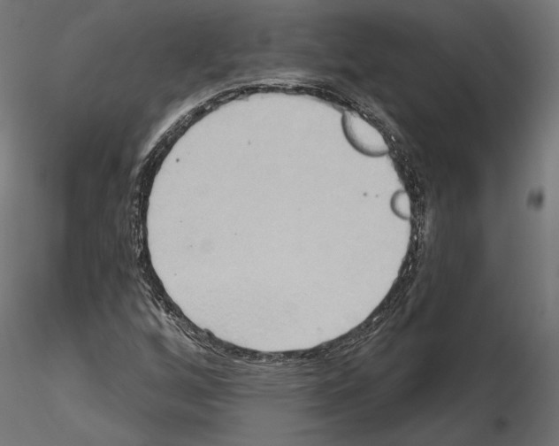 X0000115171256200912091015