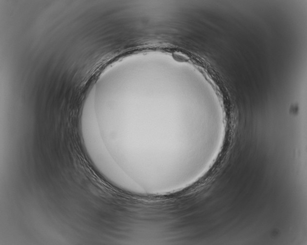 X0000115171257200912091015