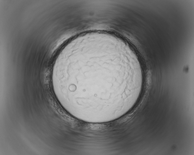 X0000115171258200912091015