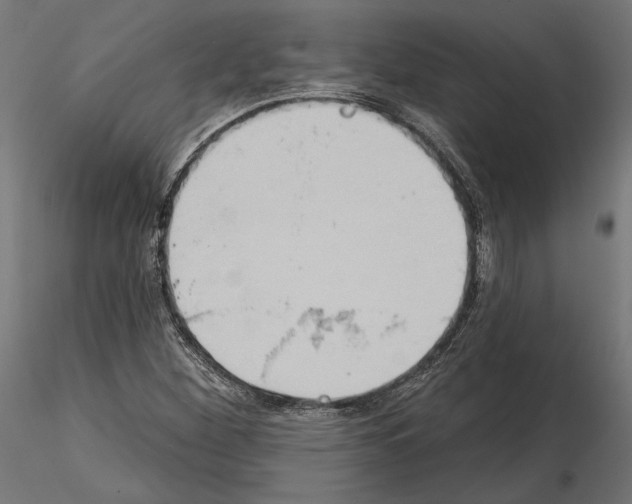 X0000115171260200912091015