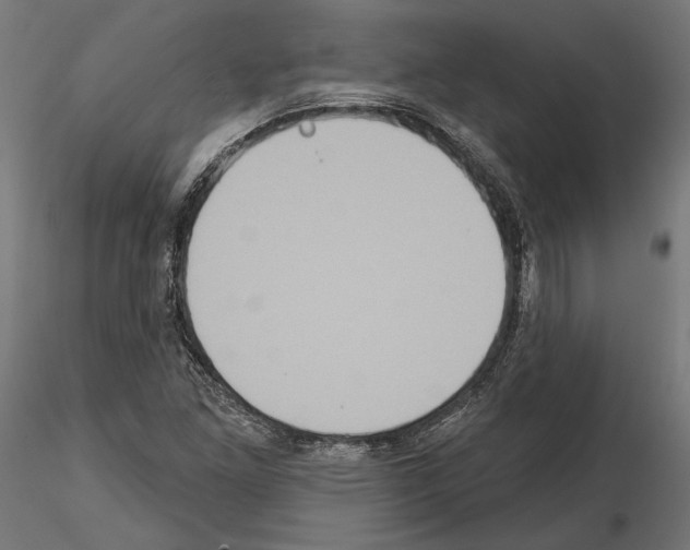 X0000115171261200912091015