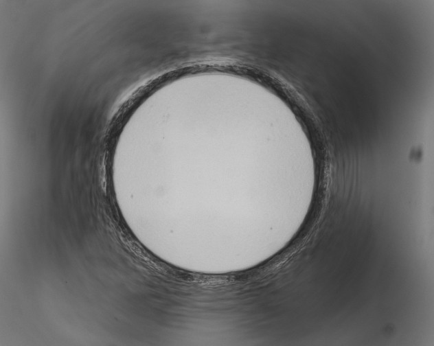 X0000115171262200912091015