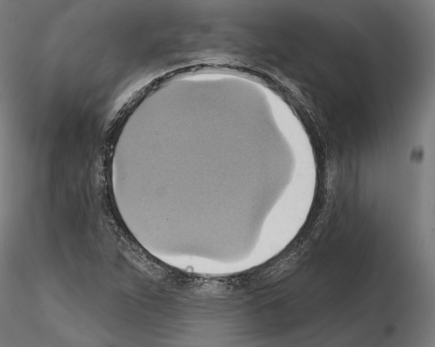 X0000115171263200912091015