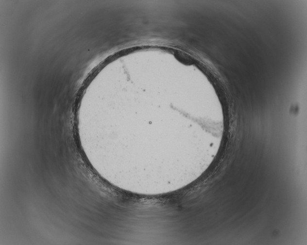 X0000115171264200912091015