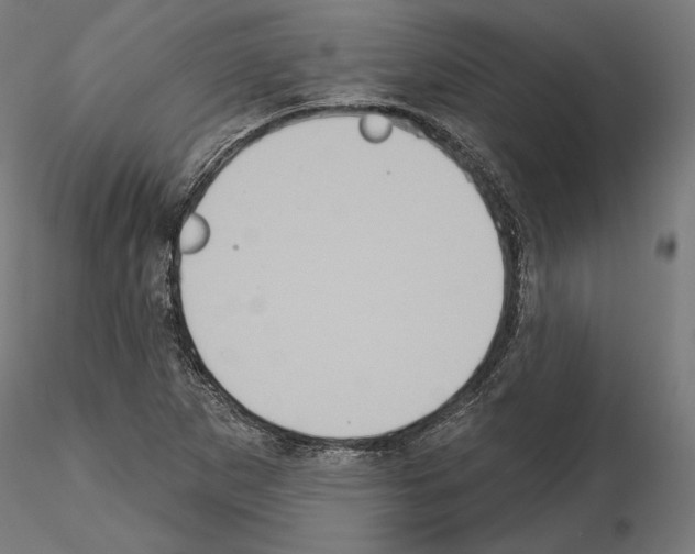 X0000115171265200912091015