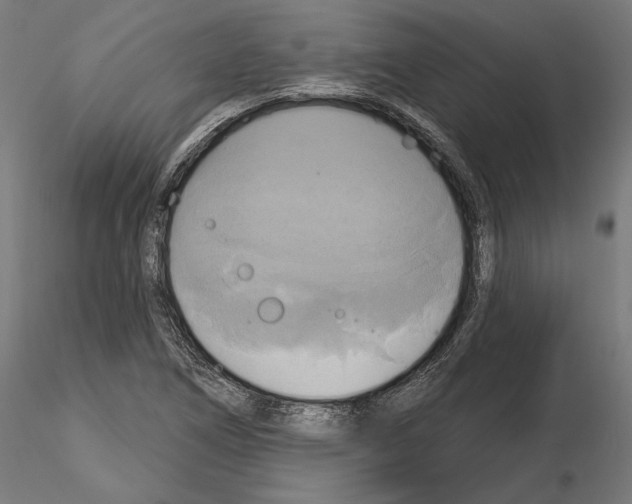 X0000115171266200912091015