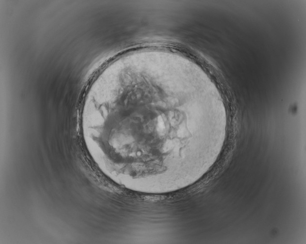 X0000115171267200912091015