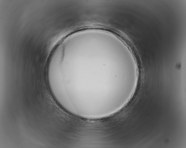 X0000115171269200912091015