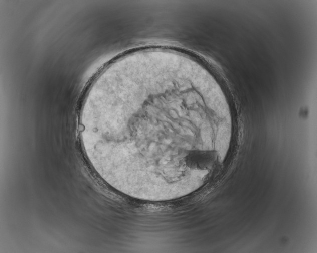 X0000115171271200912091015