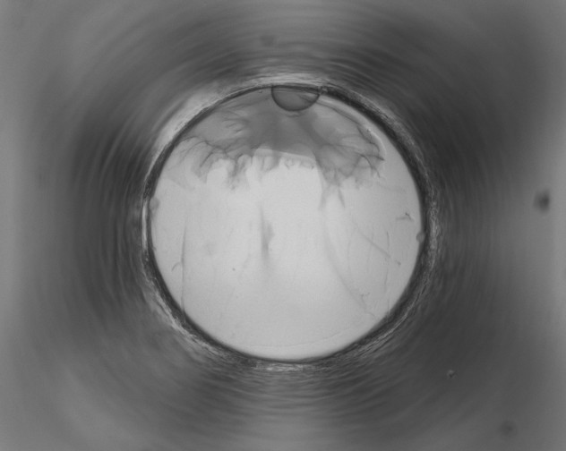 X0000115171274200912091015