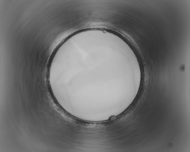 X0000115171277200912091015