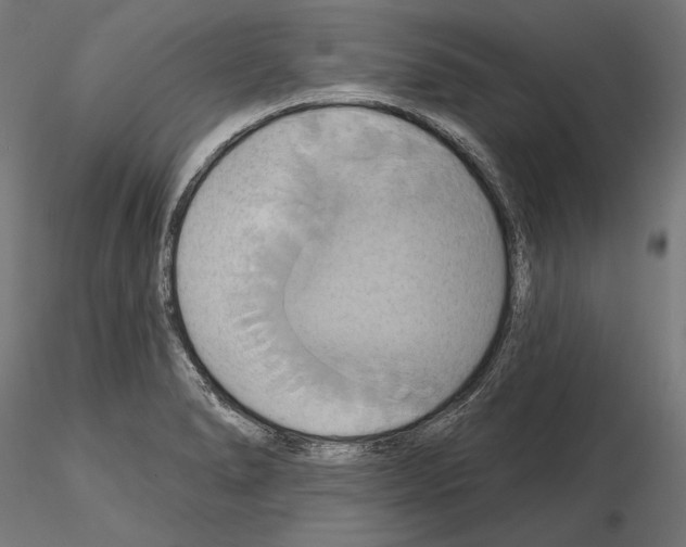 X0000115171278200912091015