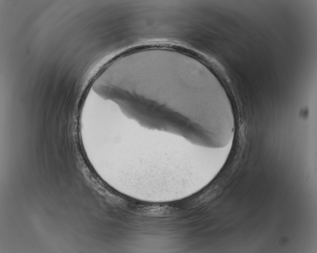 X0000115171279200912091015