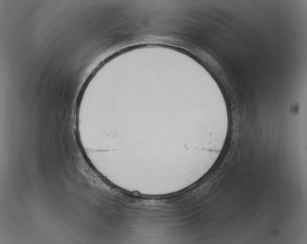 X0000115171280200912091015