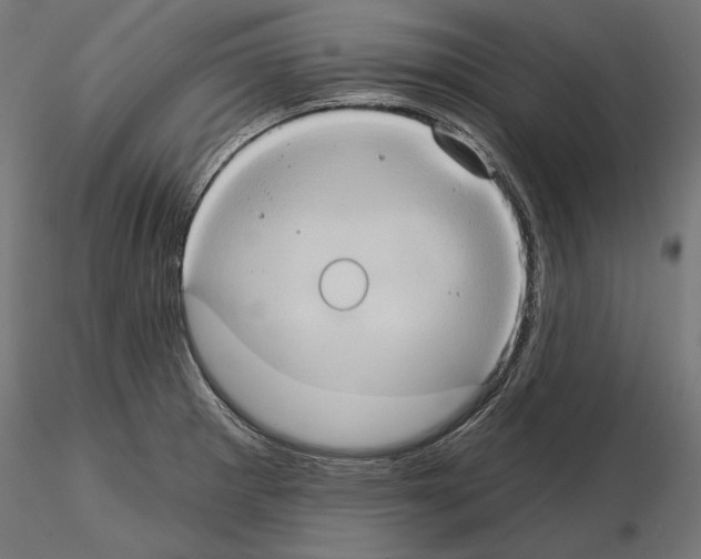 X0000115171281200912091015