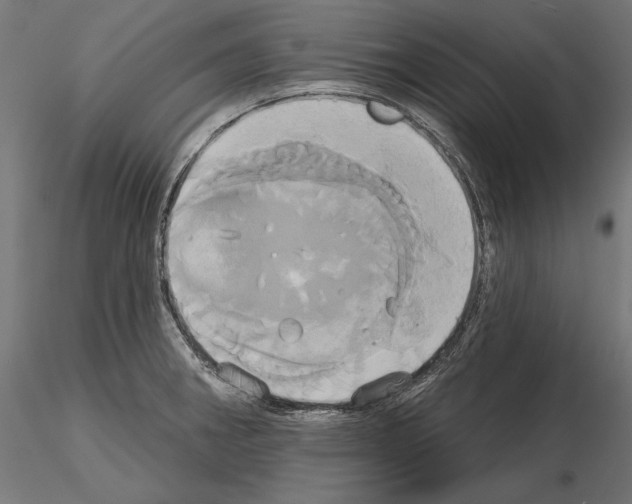 X0000115171282200912091015