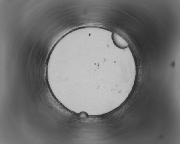 X0000115171284200912091015