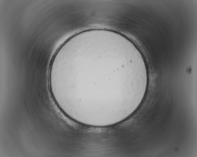 X0000115171286200912091014