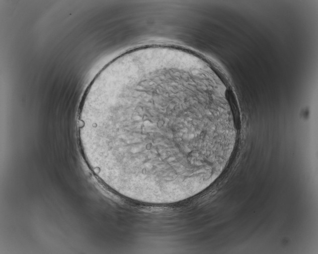 X0000115171287200912091014