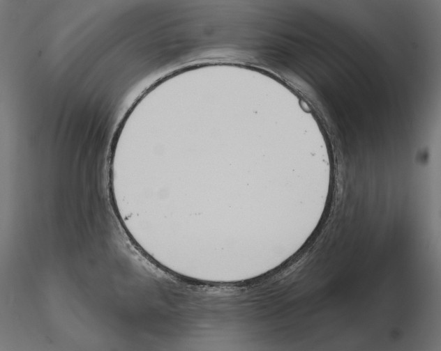 X0000115171288200912091014