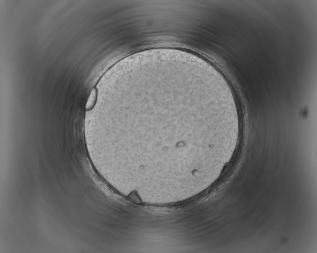 X0000115171289200912091014