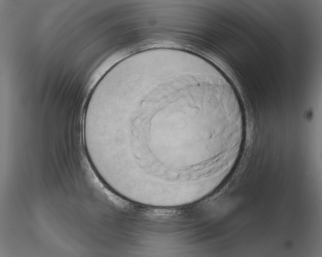 X0000115171290200912091014