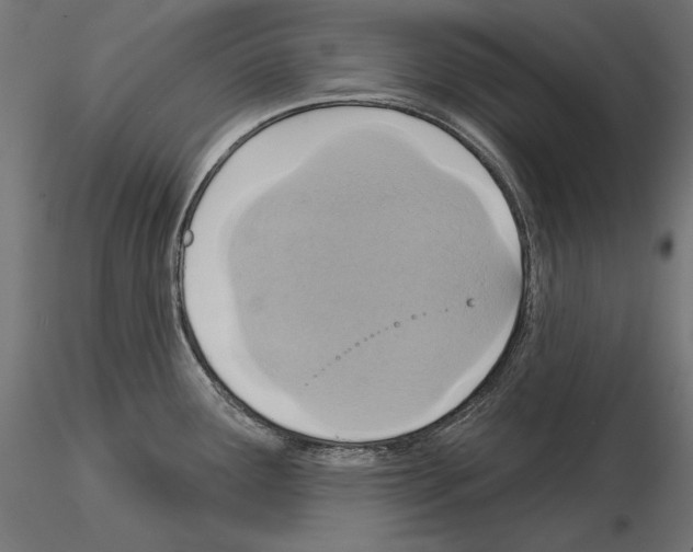 X0000115171291200912091014