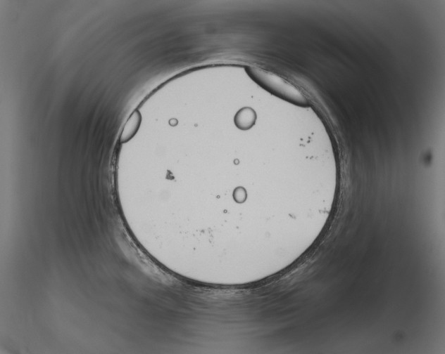 X0000115171292200912091014