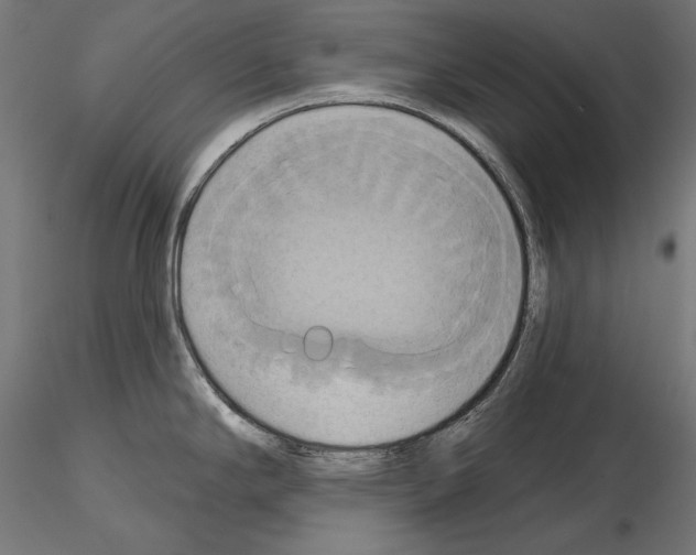 X0000115171294200912091014