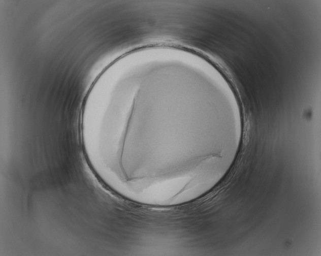 X0000115171295200912091014